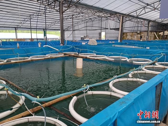 ̨�������´�ҵ�ǣ��á�ˮ�й��塱���ϴ��ڲ���