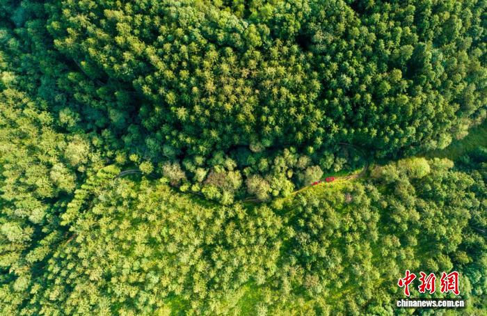 ����ɳ�ش��¡���̬��ģʽ��7.5��Ķɽ�ֱ䡰Ǯ�⡱