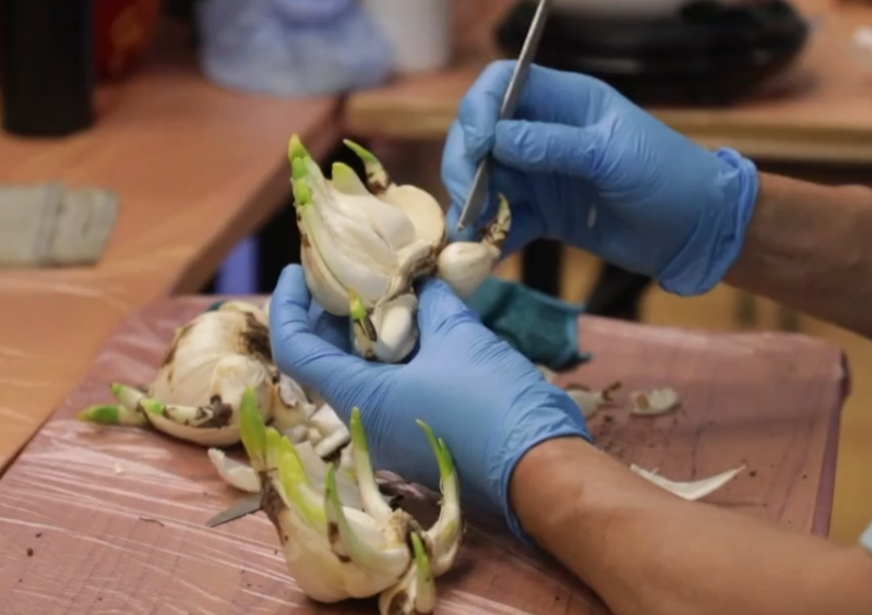 �ʻ�ӭ�����̵��µİٱ�ˮ��