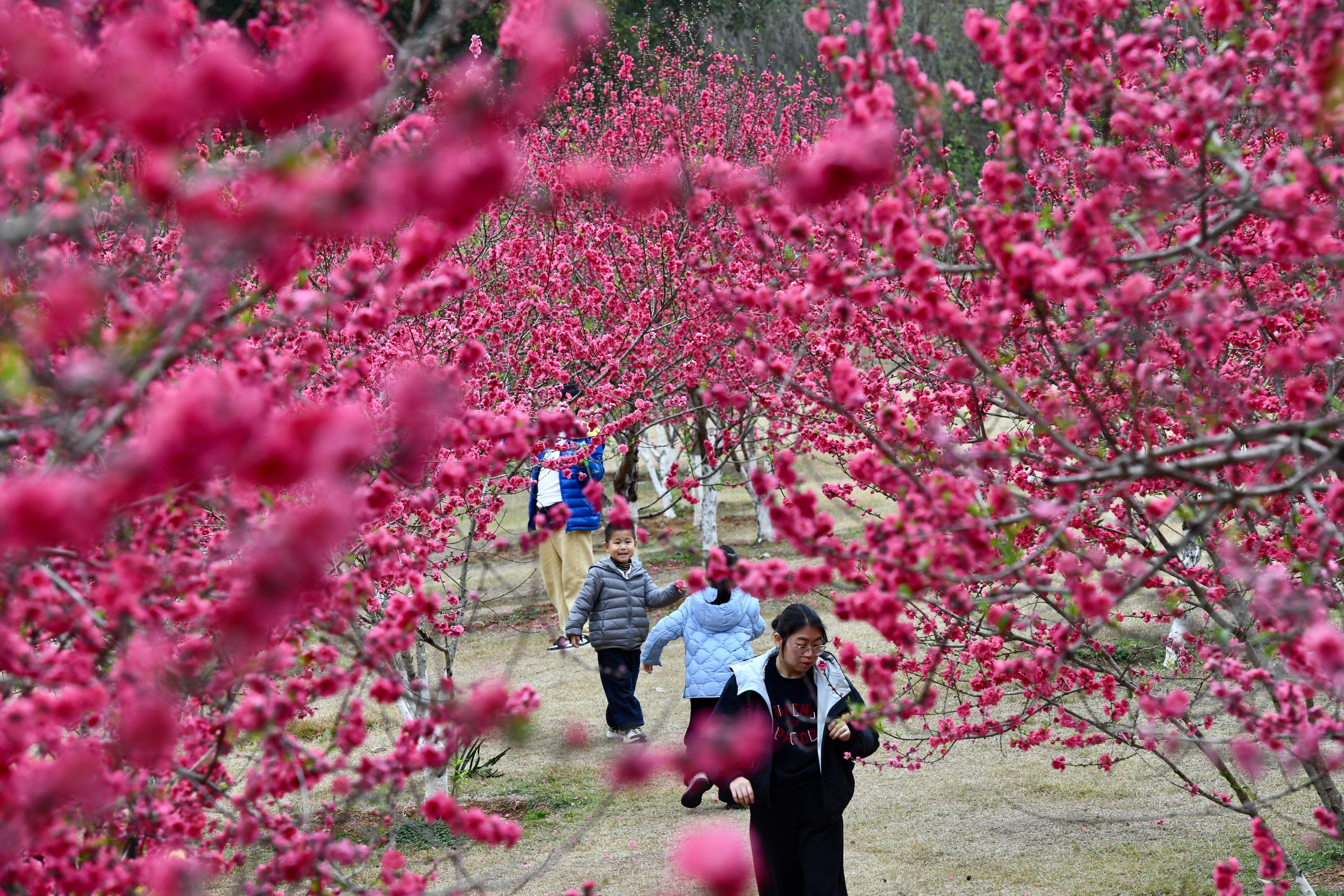 �������ݣ��һ�����ӭ��