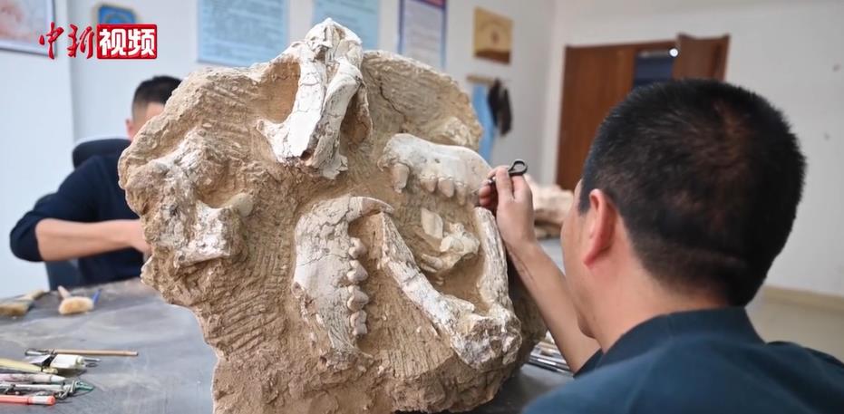 �عŶ��ﻯʯ�޸�ʦ���ʼ��¡��ɰ�Զ������ ����份�Ѱ��������