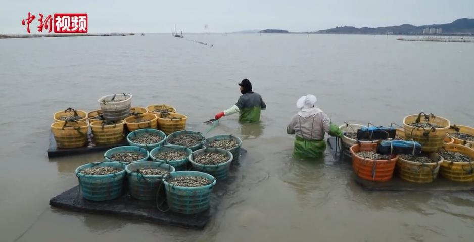 �����������غ�̲Ϳ�������� ���ϴ���æ