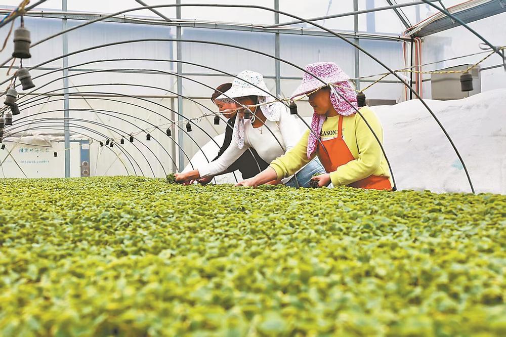 ����Ƽ���