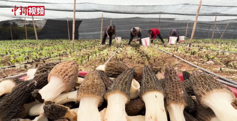 ��90�����귵������Ǿ� 50Ķ�����̾��������·