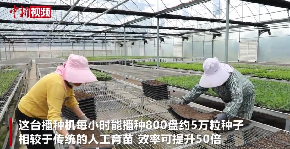 ������������+���� �ǻ����硰����ʱ��