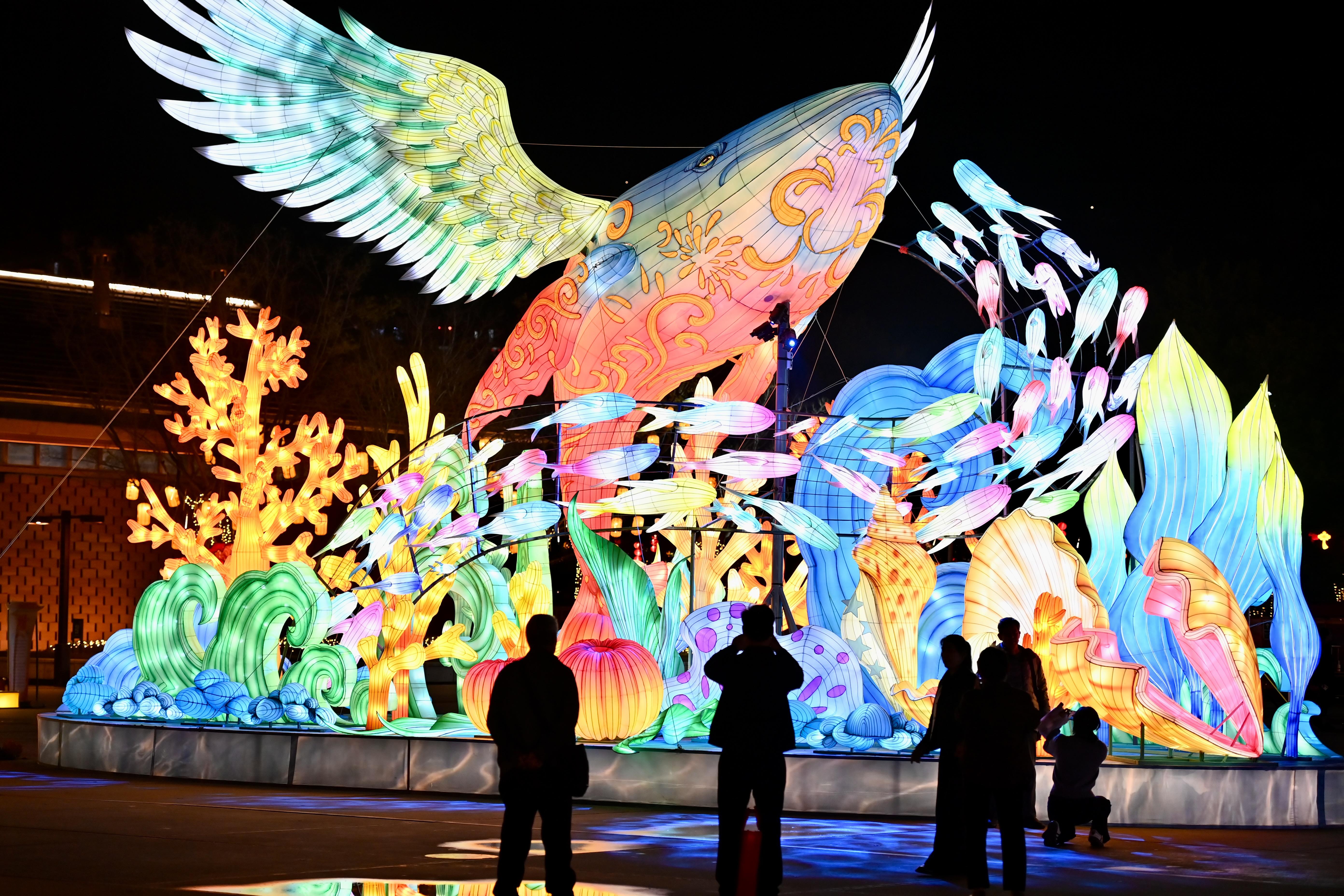 ���� ������ͬ����Ԫ���� �ƻ�������