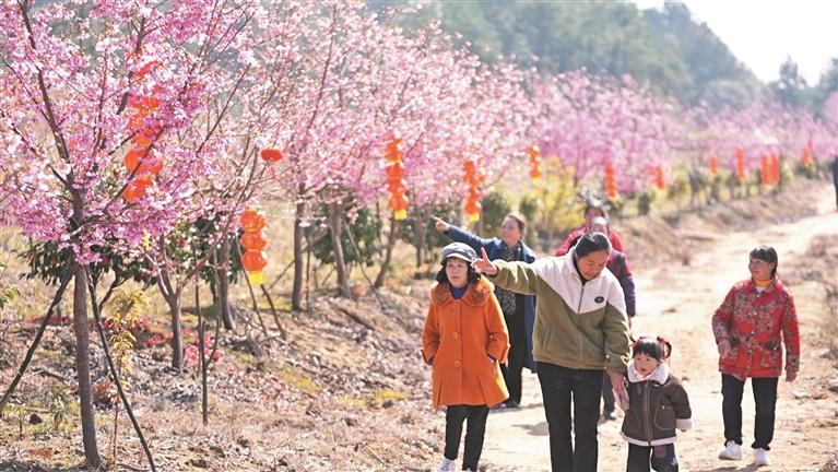 ��ӣ��ӳ����Ũ