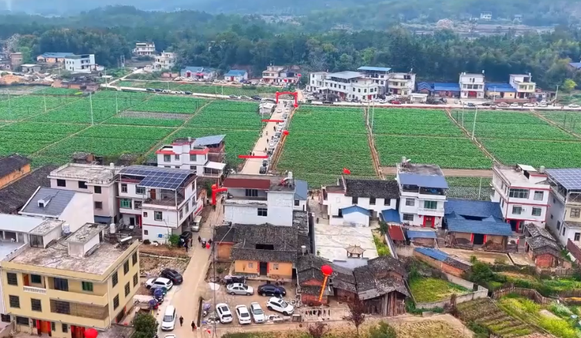 ������͡�����ٺ��硱ʢ�� ����ũ�����׹����������