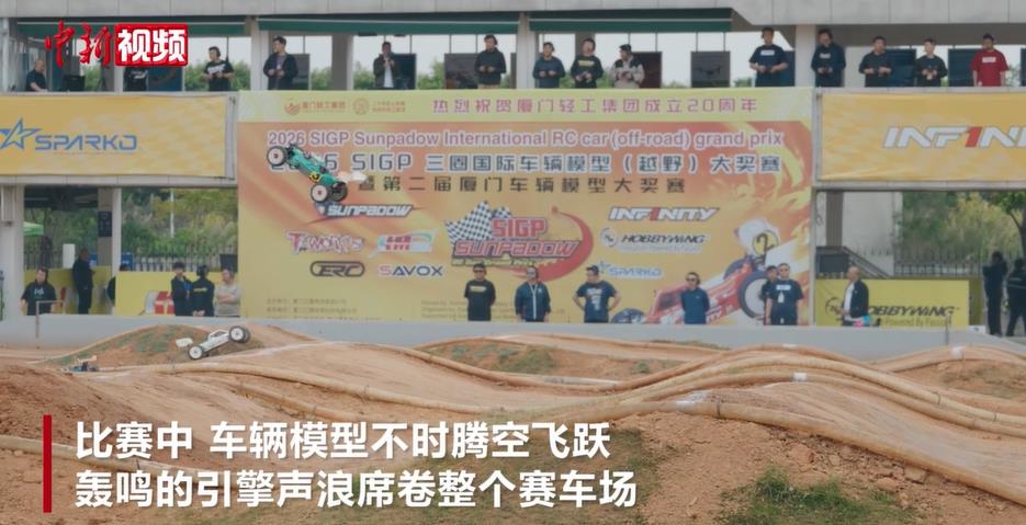 ������ְҵ���־������� �������綥������ģ��ԽҰ��