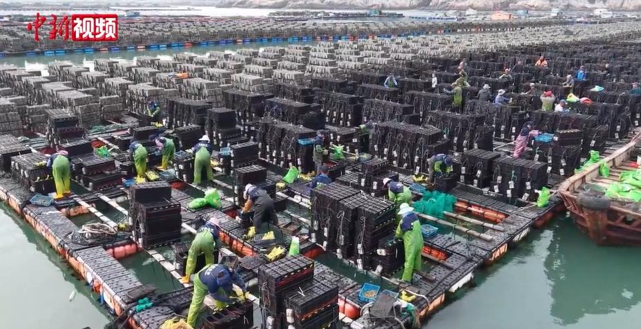 ����������20��������½��Ͷ���º�