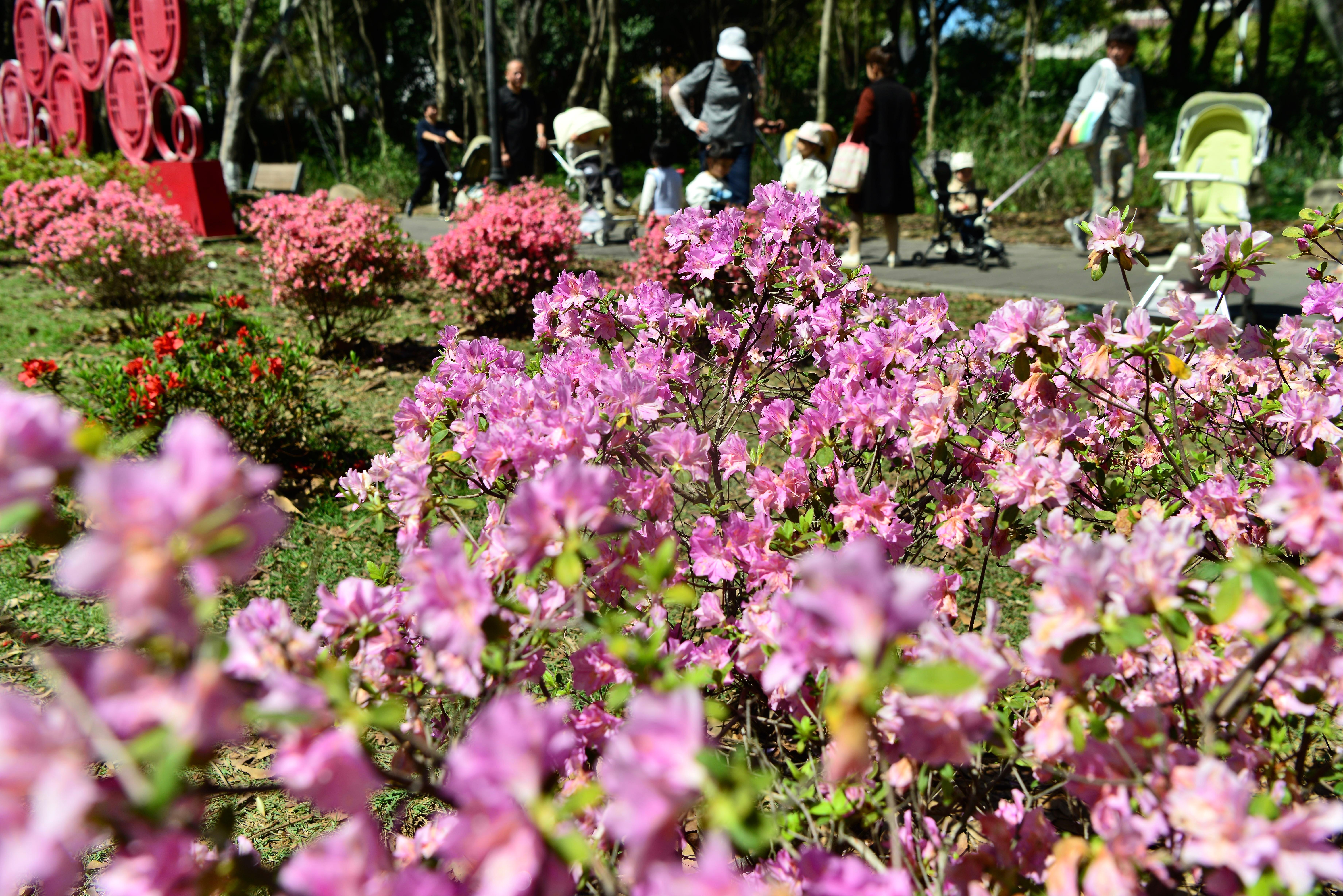 ���ݣ��ž黨��������