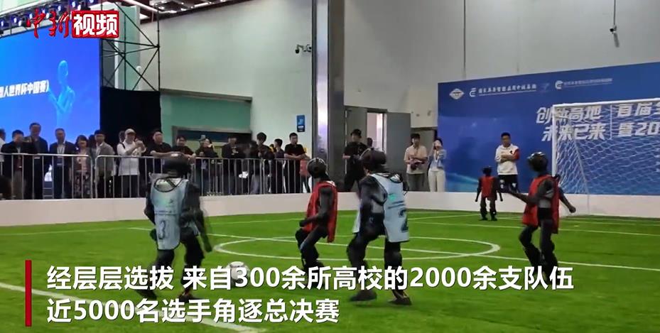 ������˫ȫ�������� 300������У��Ӿ������������
