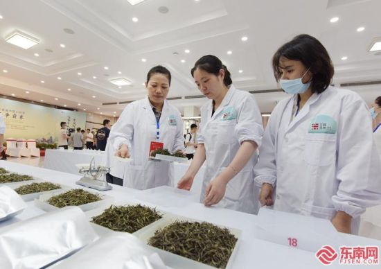 2022年首届中国小白茶茶王争霸赛在建阳顺利开赛