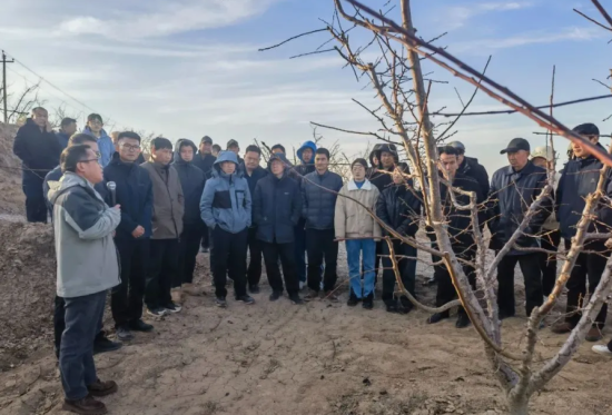 䣨ûͲΪʳũ񽲽÷ҩļҾ ͼ