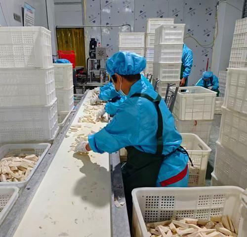 иͷɽʳƷ޹˾ũƷӹڣɵæµš