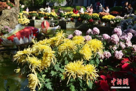 1120գڸ԰еľջչǰͻ ű 