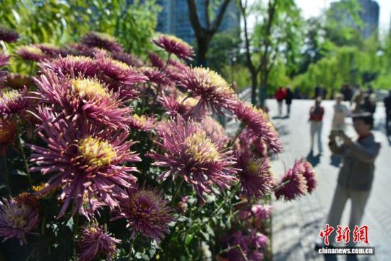 1120գڸ԰еľջչǰͻ ű 