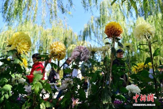 1120գڸ԰еľջչǰͻ ű 