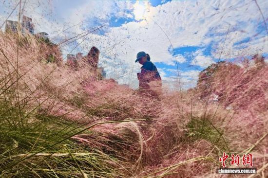 1124գοڷӲݻвιۡ  