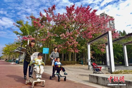 1124գʱڣڸʪع԰档  