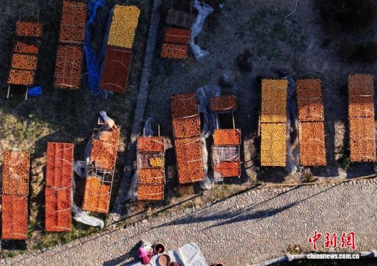 ͼΪæŸɹƵ档(˻Ƭ) ű 