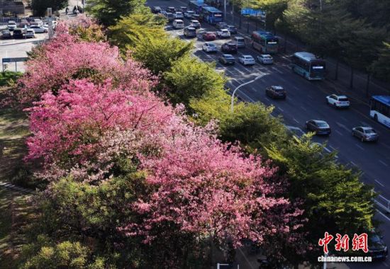 121գݵ·ֲľ޽ʢڣöųһĨɫʡ˻Ƭ ű 