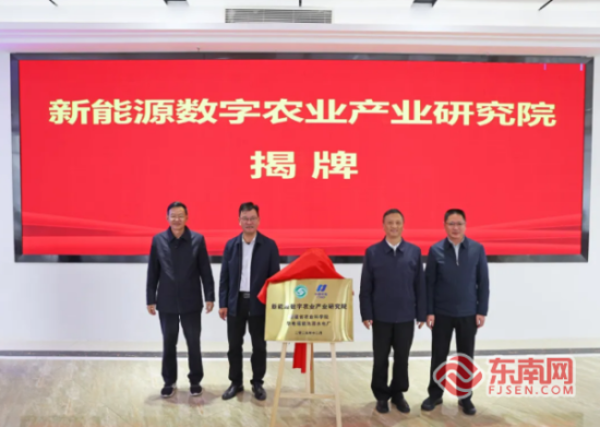 ������ʽ