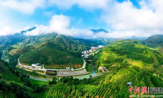 ��������̹���ȫ����