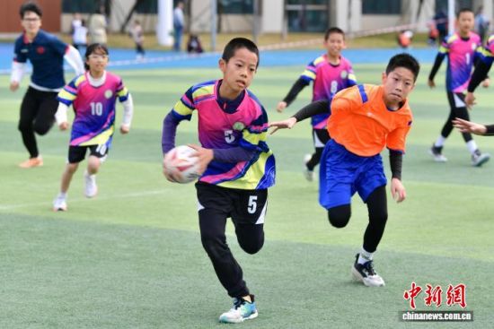 12��27�գ�Сѧ����������ڱ����С���������� �ű� ��