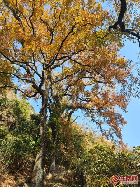 ��ʹŵ������������� ������ ��