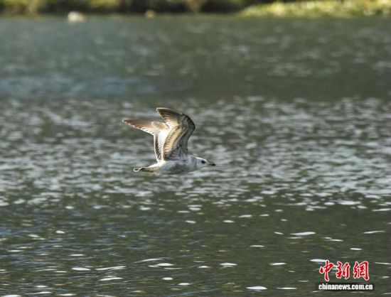 ��ͨ��Ÿ��ˮ���Ϸ��С������� ��