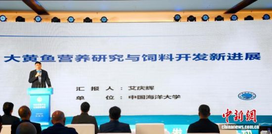 �й������ѧˮ��ѧԺԺ�������ڰ�������������Ӫ���о������Ͽ����½�չ�����档���ʽ� ��