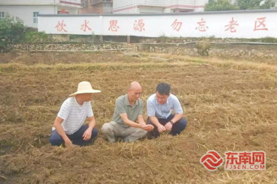 �ڶ�Ф��ְ�ڼ䣬����ɭ��������ͷ����չ���й��� ��Ф�ֵ����´���ͼ