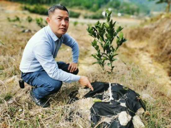 �������ڲ鿴�������������ͼԴ�й�������ũ��