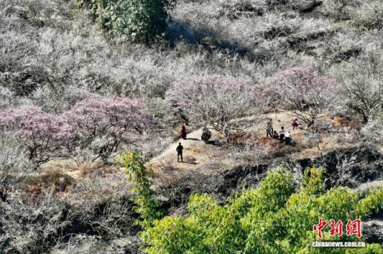 1��4�գ��ο��ڸ���ʡ��̩��÷�������档�����˻���Ƭ����������� ������ ��