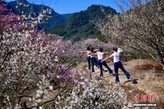 1��4�գ��ο��ڸ���ʡ��̩��÷�������衣��������� ������ ��