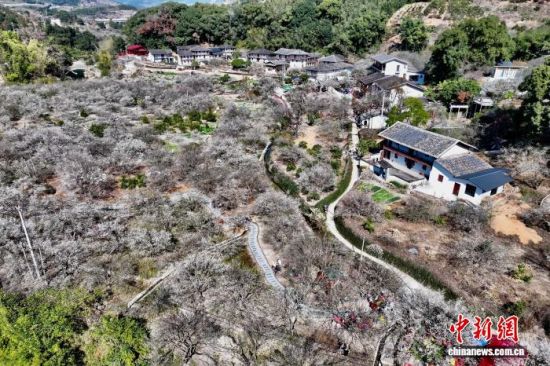 1��4�գ����ĸ���ʡ��̩��÷�ֹ��ȡ������˻���Ƭ����������� ������ ��