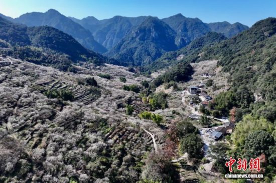 1��4�գ����ĸ���ʡ��̩����Ķ÷�֡������˻���Ƭ����������� ������ ��