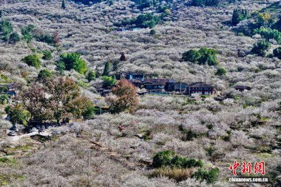 1��4�գ����ĸ���ʡ��̩����Ķ÷�֡������˻���Ƭ����������� ������ ��