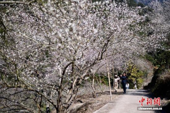 1��4�գ��ο��ڸ���ʡ��̩��÷�������档��������� ������ ��