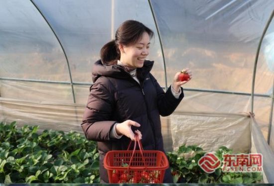 �ο�ǰ�������ժ��Ȥ