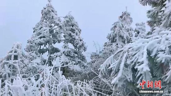 �ܺ���Ӱ�죬�������������������ϴ������������ڡ��Ө����ɽ��ľ��װ�ع���(���˻�����)�����������繫˾ ��ͼ