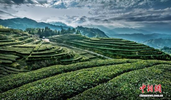 ������͸�л���԰(����ͼ)�����ٸ� ��