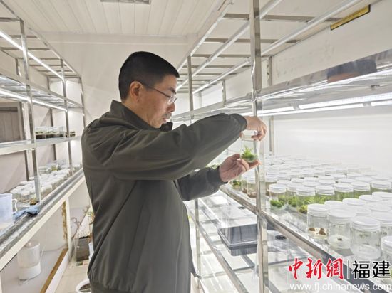 ����Ң�鿴��ë�����������