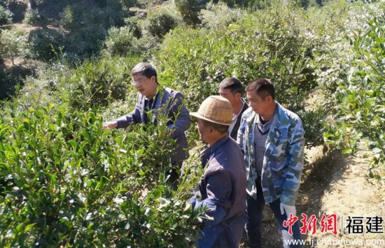 ������ԱΪ��ũ�ṩ����ָ��