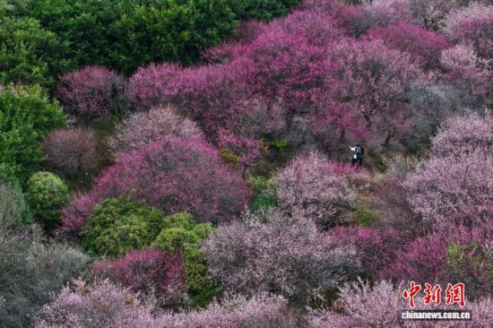 ͼΪ�ο���÷������÷��(���˻���Ƭ)��������� ������ ��