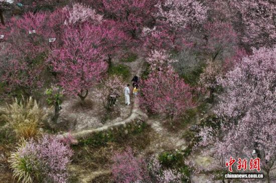 ͼΪ�ο���÷������÷��(���˻���Ƭ)��������� ������ ��