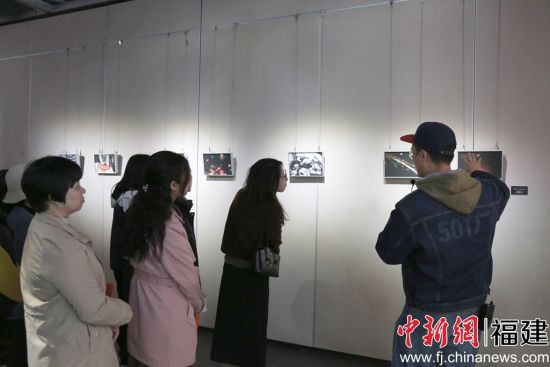 �����չ��