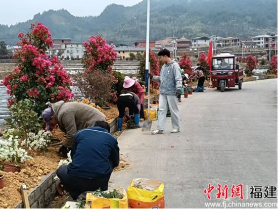 ͼΪ���Ĵ����æ������ֲ