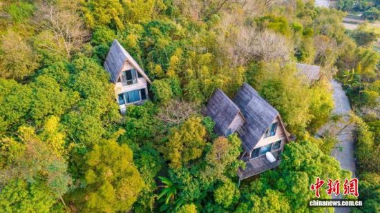 ɽˮ�����ݡ���̩����ý�����Ĺ�ͼ